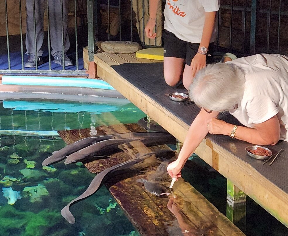 国家奇兽中心-霍基蒂卡必去景点