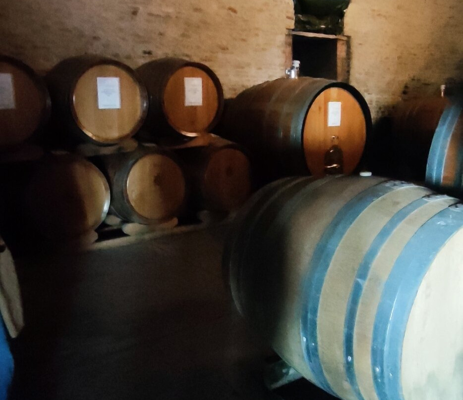 Rapalino Vini-Neviglie必去景点