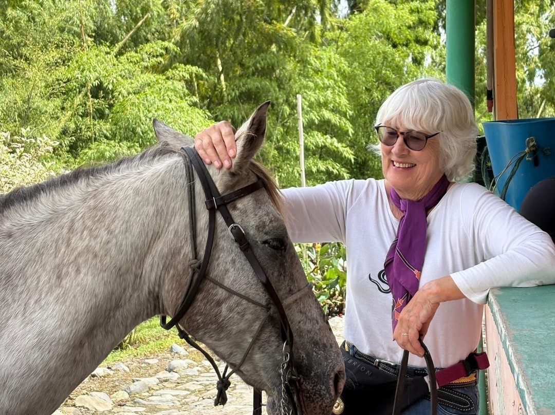 Rancho Saman-佩雷拉必去景点