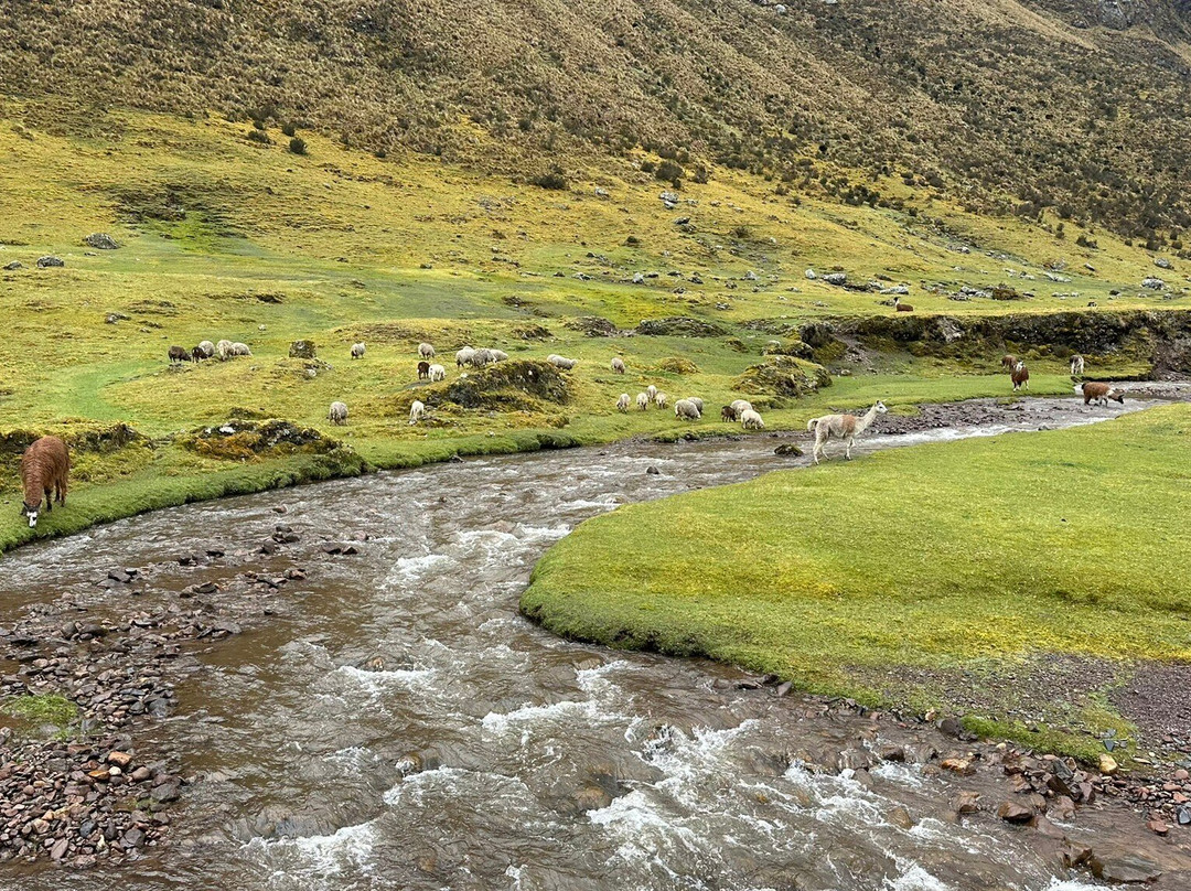 Peru Anglers Fly Fishing-库斯科必去景点