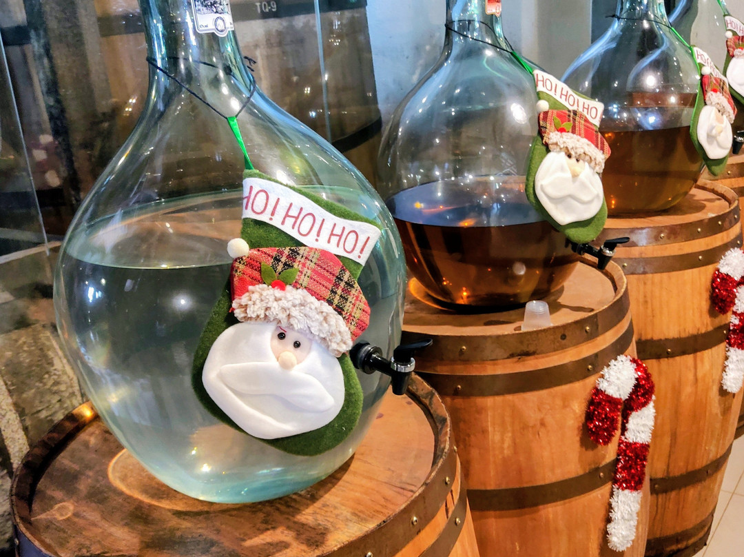 Destilaria Monte Verde-蒙特贝尔德必去景点