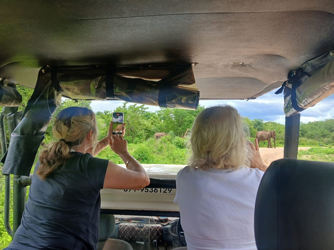 My Driver in Sri Lanka - Day Tours-Yatiyana必去景点