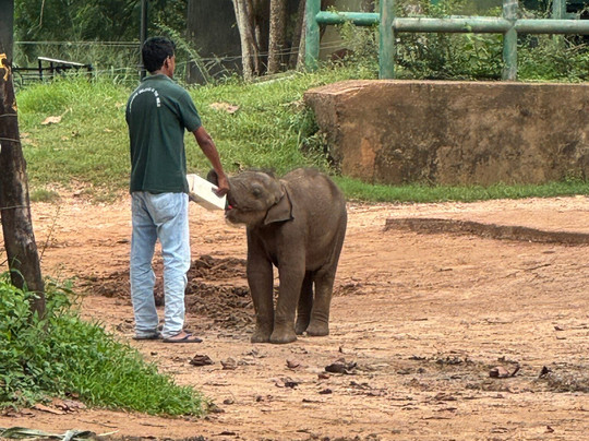 Travel With Thilak-Dehiwala必去景点