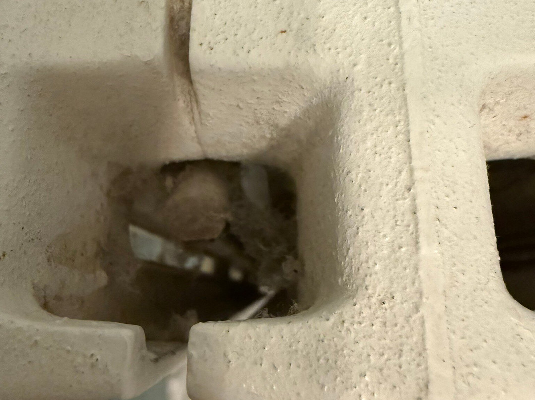 Hotel Gattapone主图