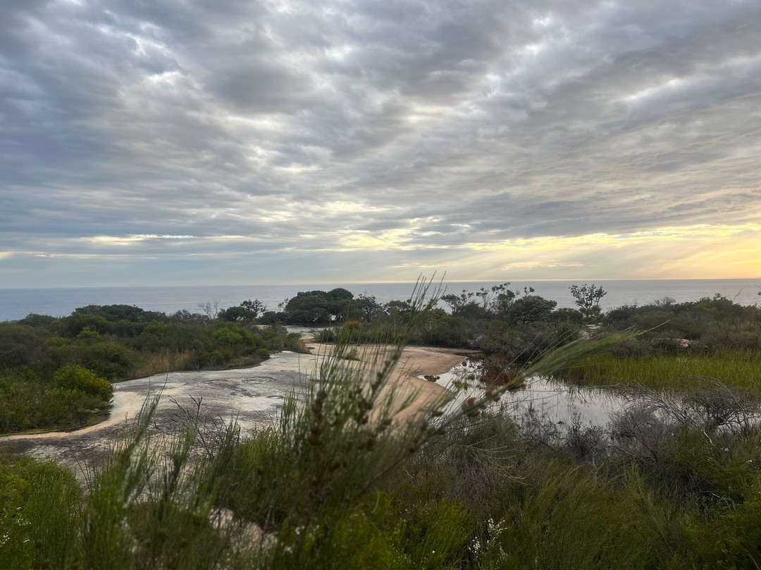 Positive Energy Adventures & Retreats-麦克夸利港必去景点