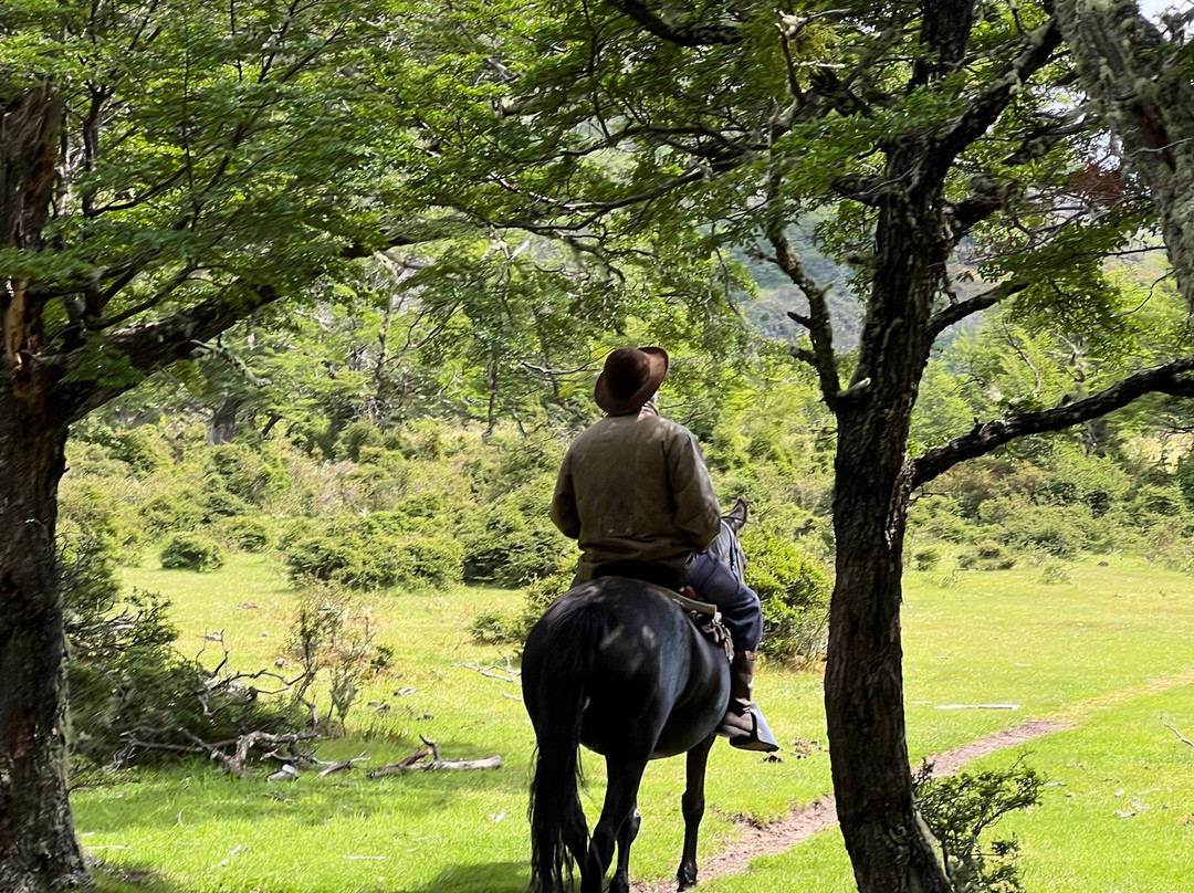 Cimarron Travel-Torres del Paine必去景点