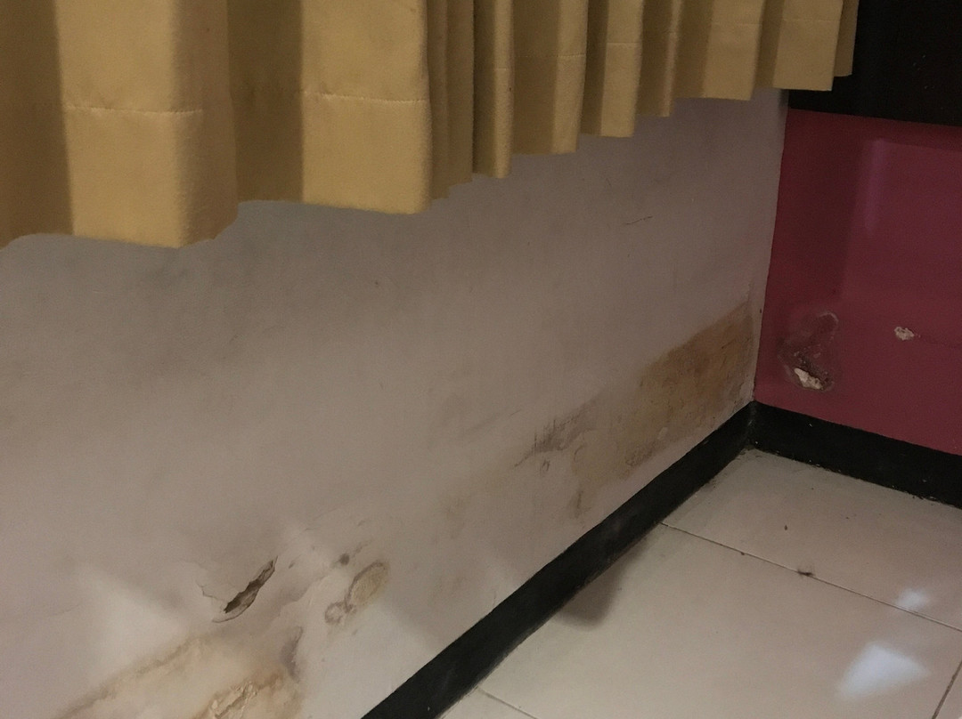 The Winner Premier Hotel主图