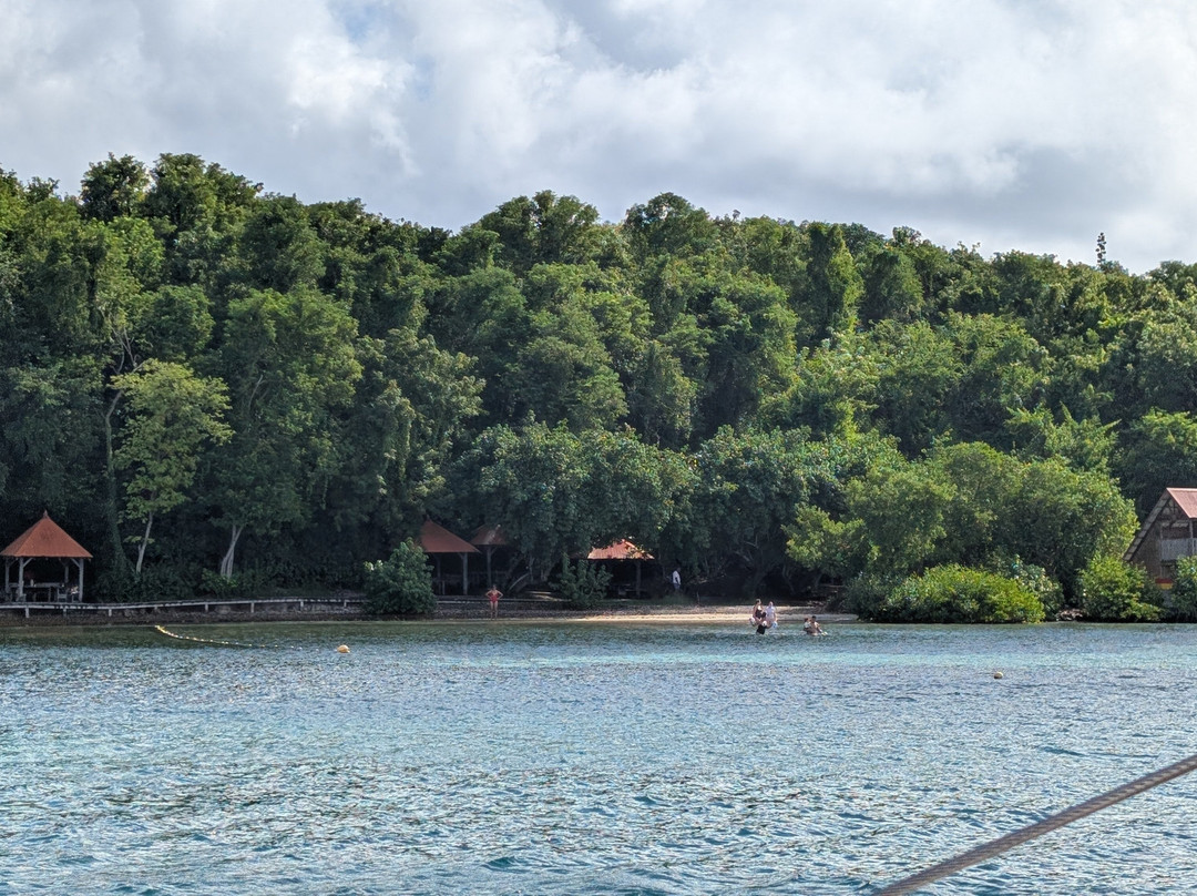 Catamaran Bwa Drese-Le Robert必去景点