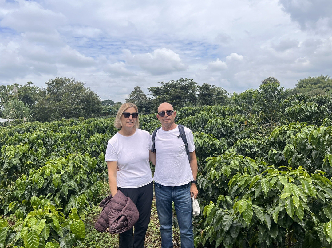 Café La Morelia-El Caimo必去景点