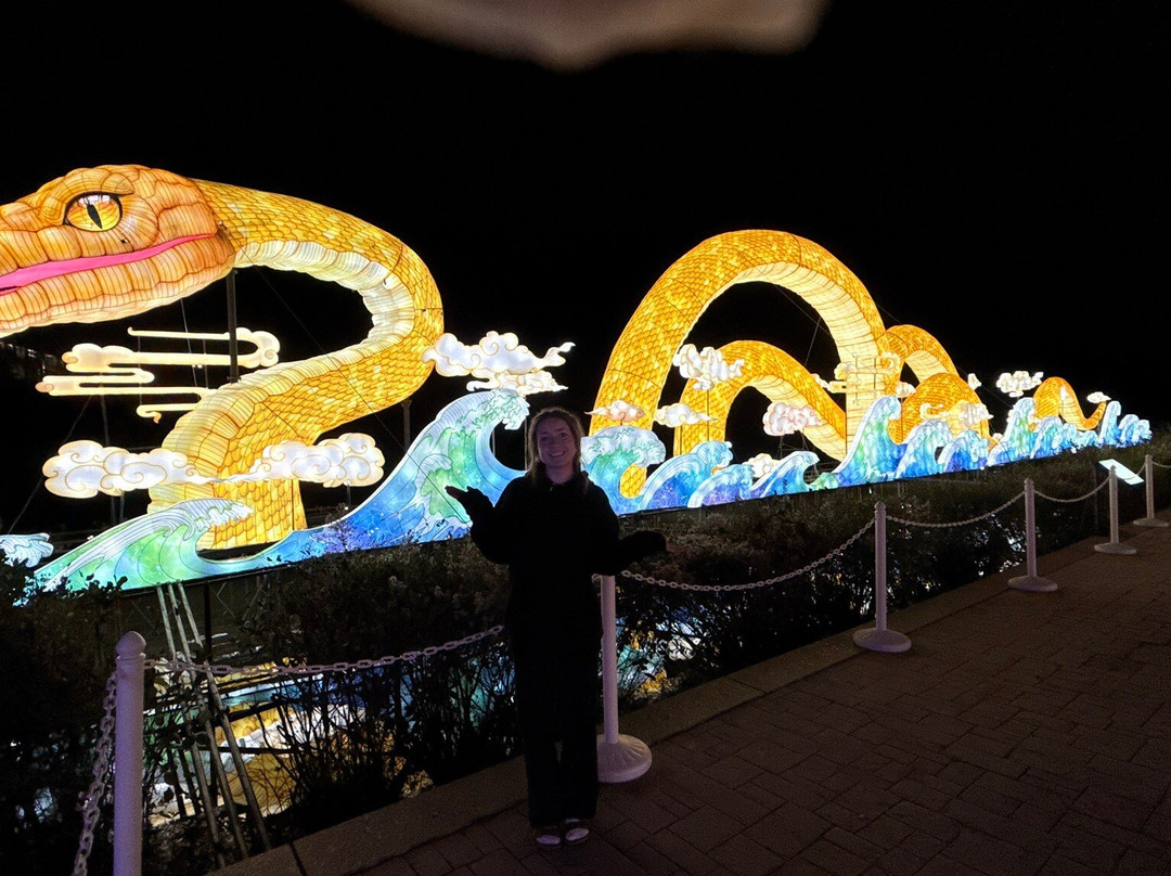 North Carolina Chinese Lantern Festival-卡瑞必去景点
