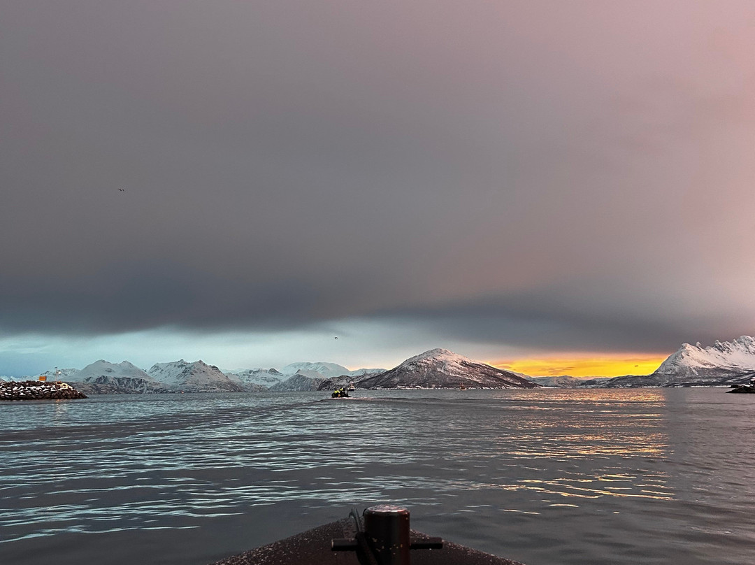 Lofoten Opplevelser-霍宁斯沃格必去景点