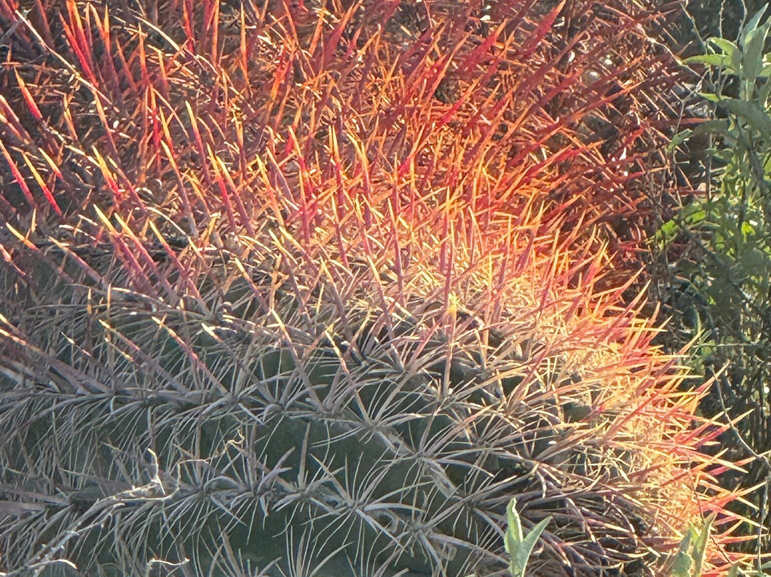 The Gateway Trailhead-斯科茨代尔必去景点