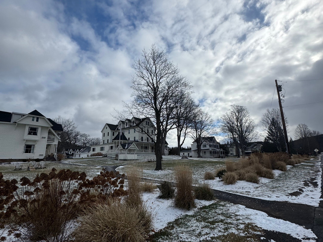 Wylder Windham主图