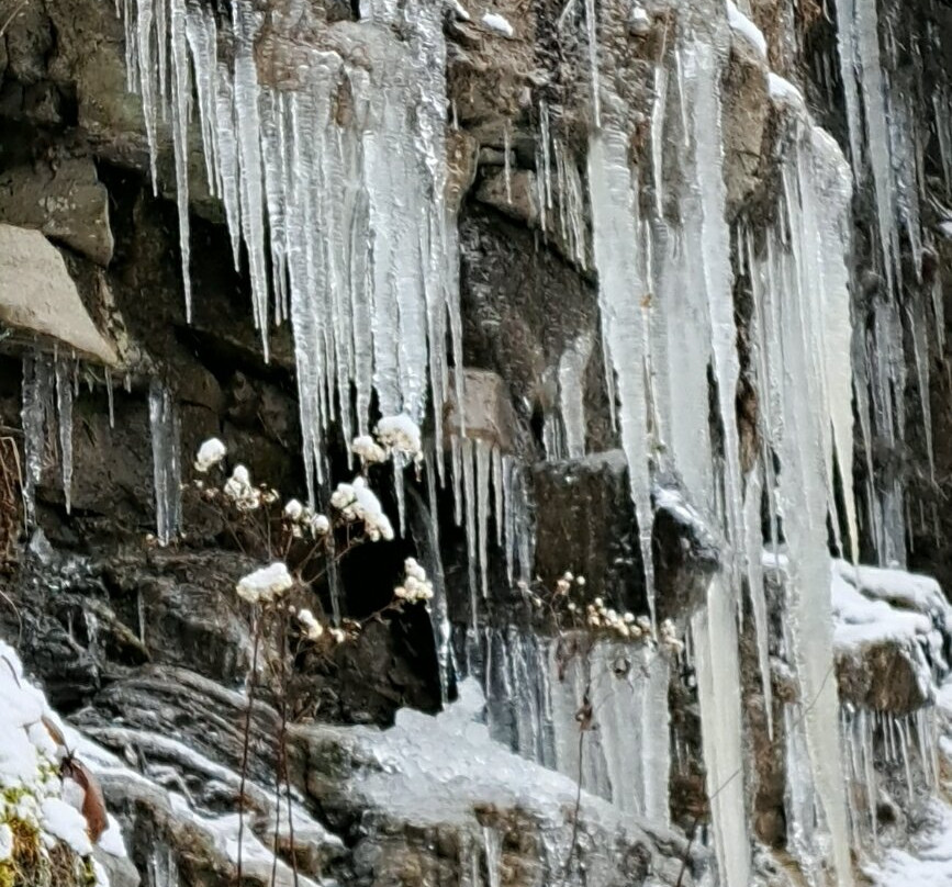 Blackwater Falls State Park-戴维斯必去景点