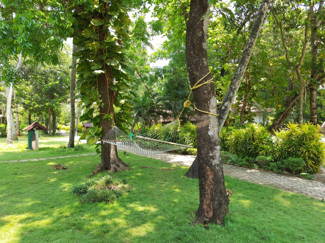 乌龟海滩阿瓦德酒店主图