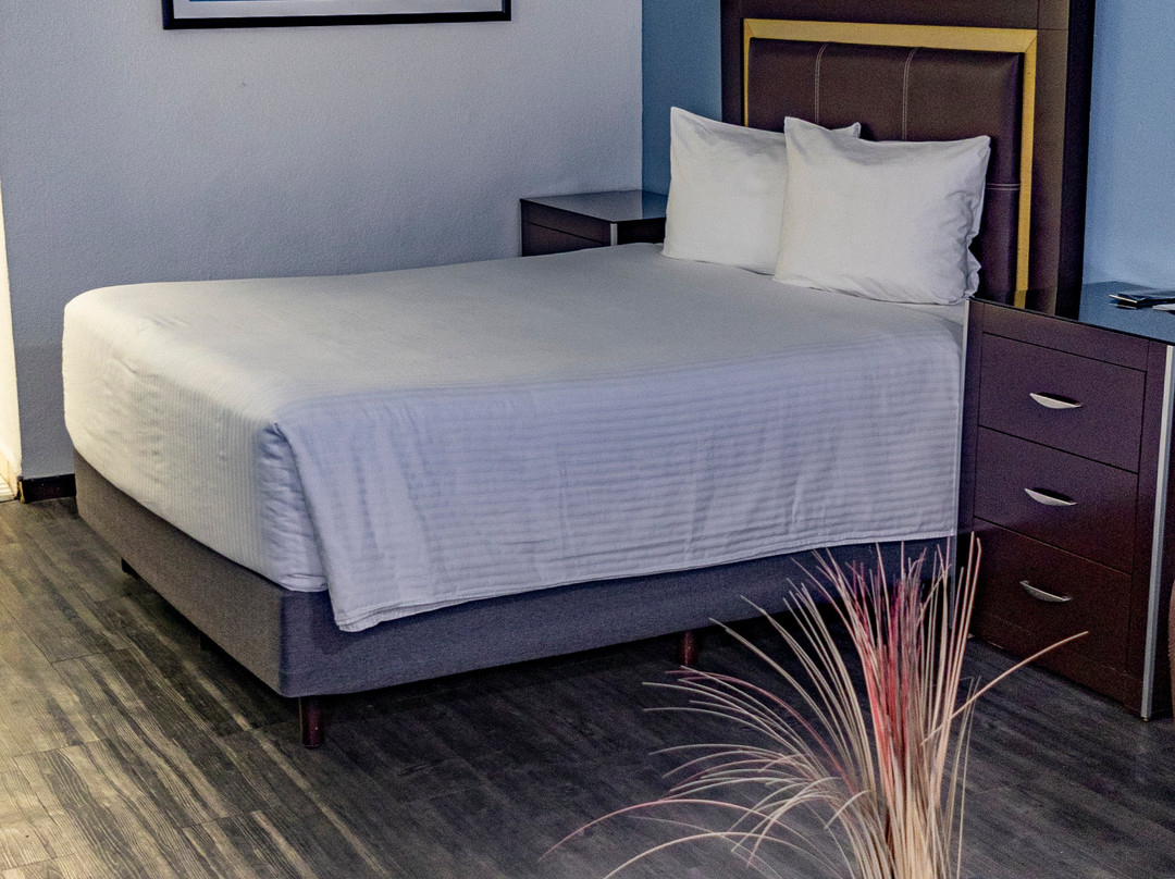 Quinta Dorada Hotel & Suites主图