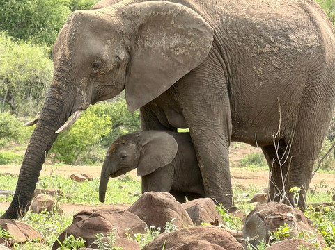 African Journey Safaris-霍德斯普鲁特必去景点