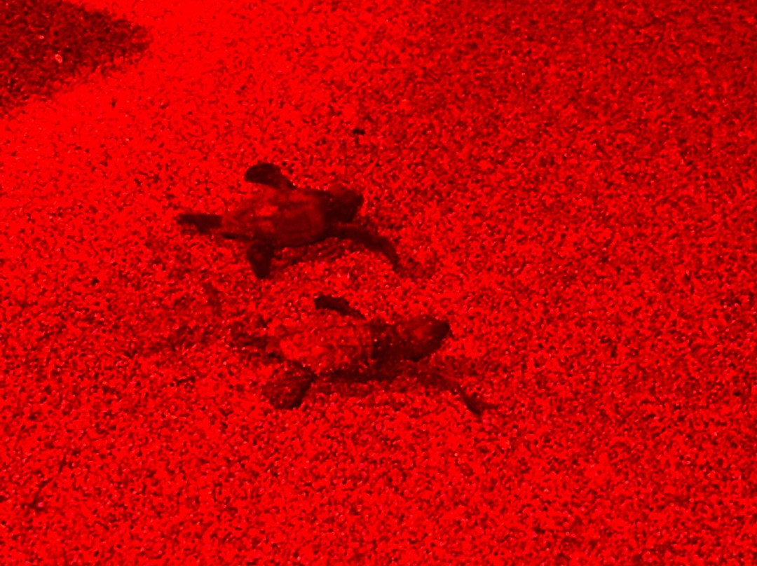 Zugadventures-奥尔塔必去景点