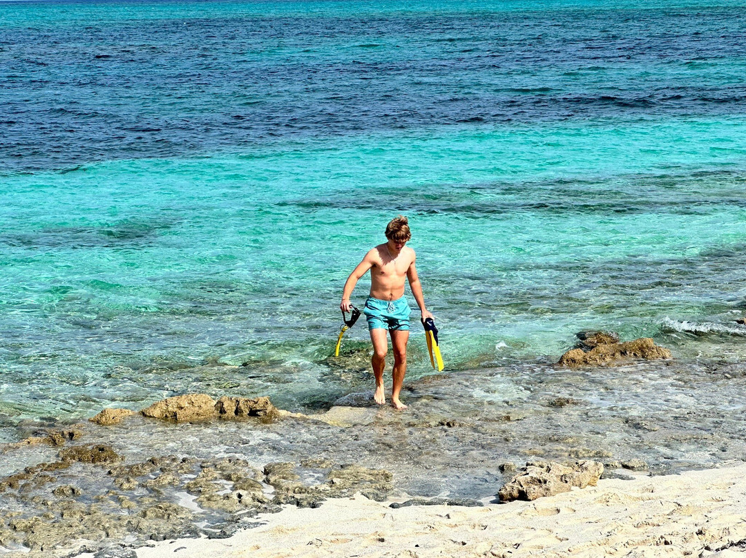 Smith's Reef-特克斯和凯科斯必去景点