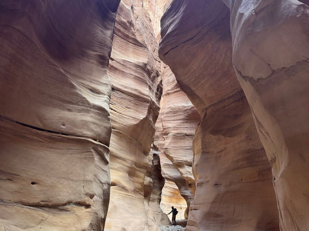 Jordan Trail Guide-佩特拉必去景点