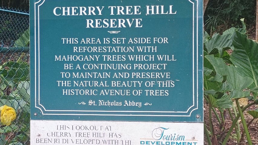 Ted's Tours-Hastings必去景点