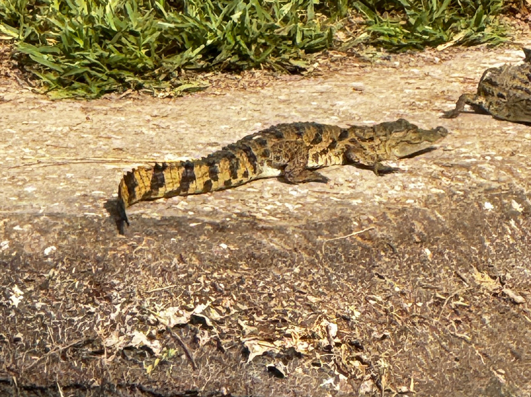 Fathala Wildlife Reserve-Dassilame Ba必去景点