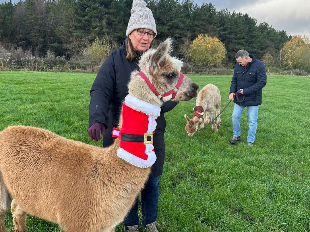 Posey Paca's-布拉德福必去景点