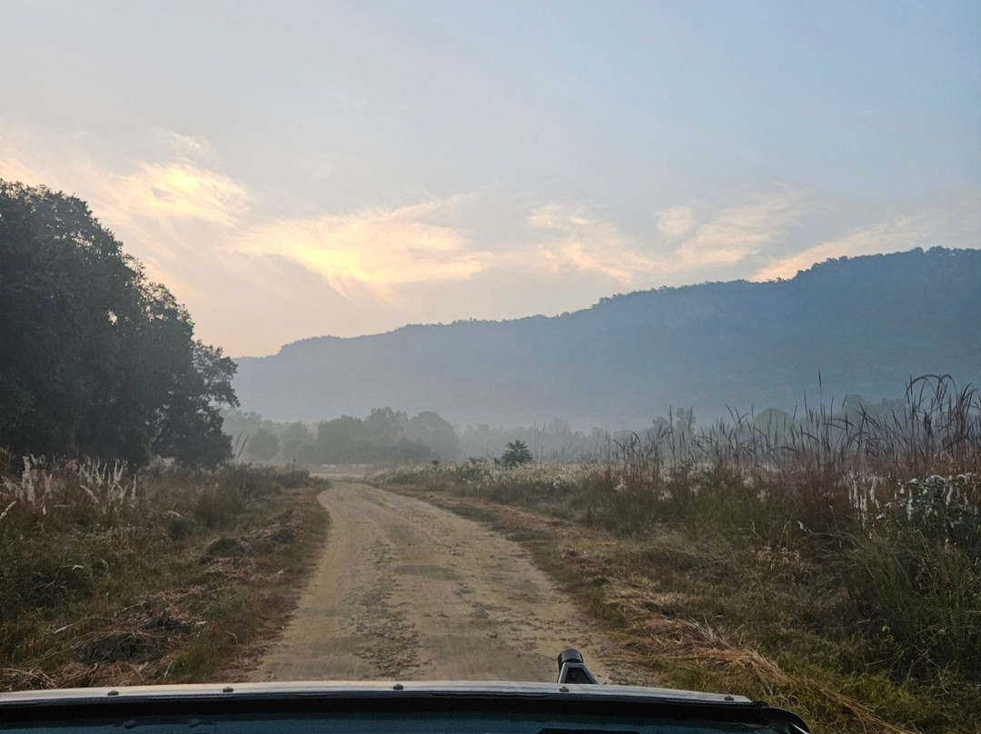 The Tiger Tours-瑟瓦伊马托布尔必去景点
