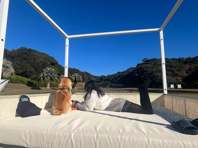 合欢酒店-合欢度假村酒店主图