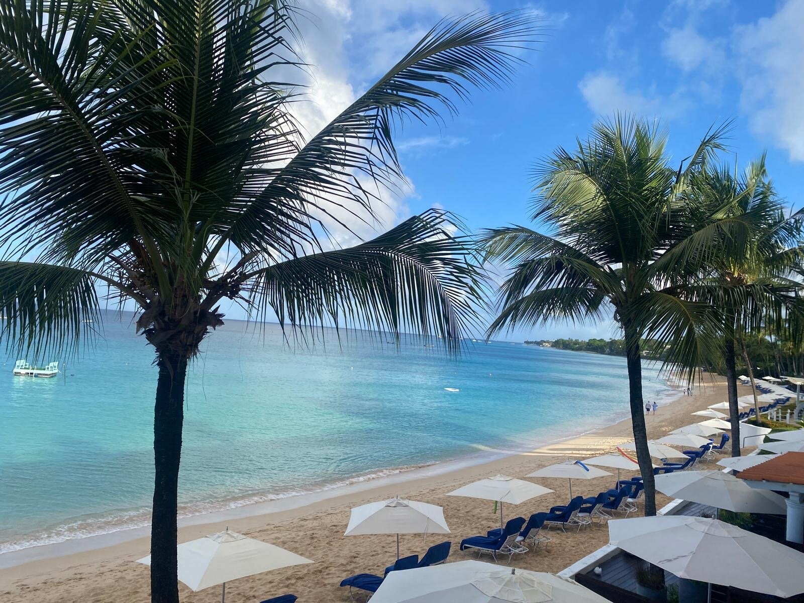 费尔蒙特皇家庭园酒店-官方