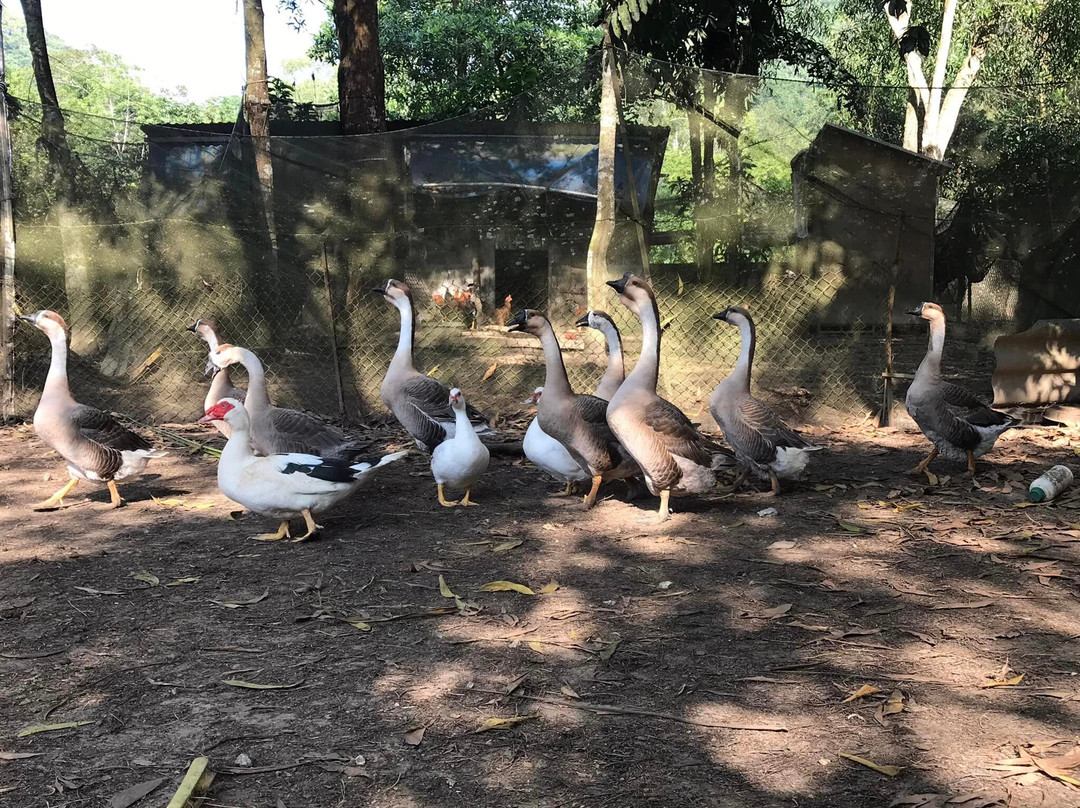 Green Mangroves Restaurant