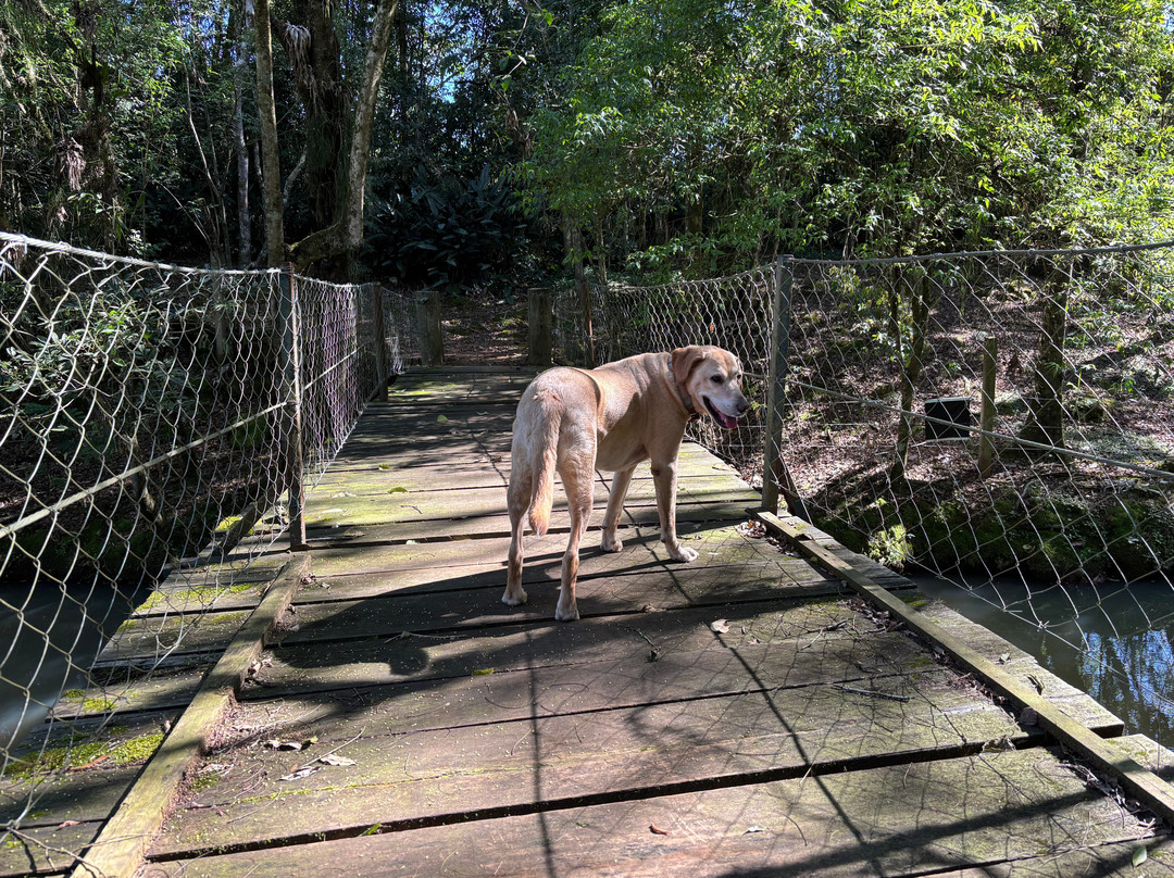 Cascata Chuveirao-Venancio Aires必去景点