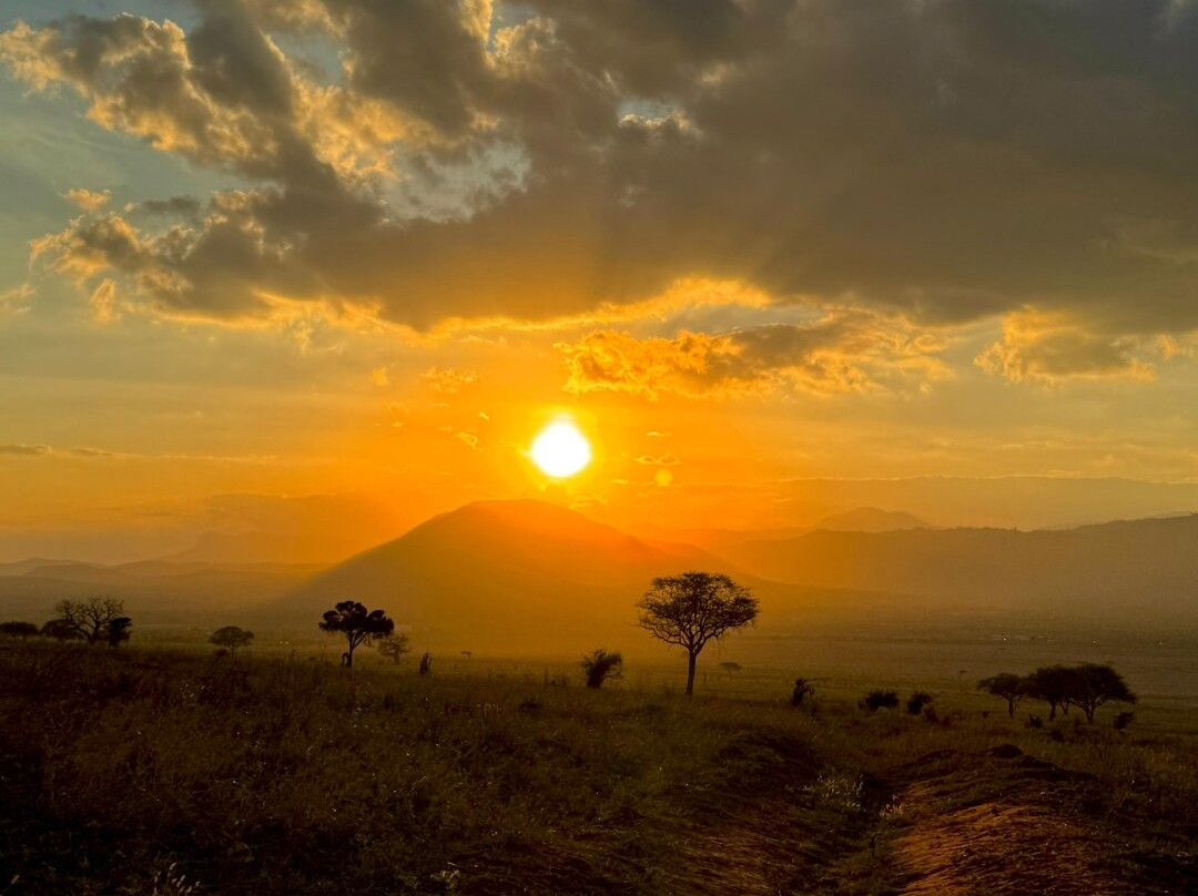 Lions’ Luxury Eco Resort & Spa主图