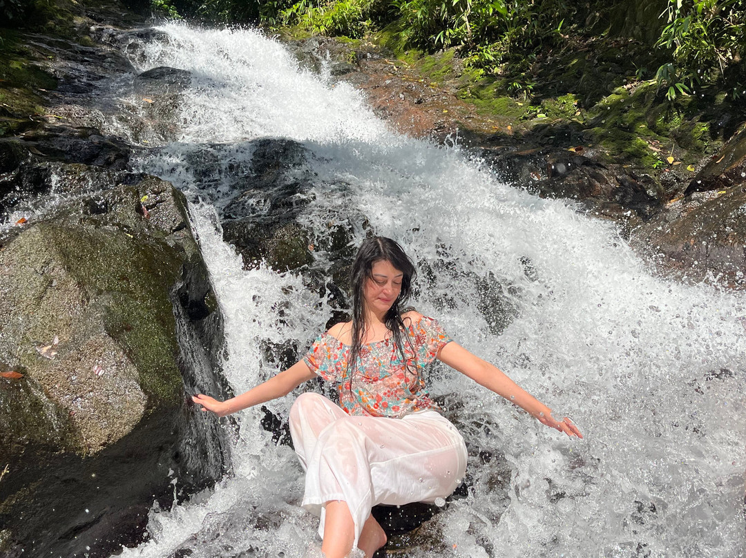 Reserva ecoturística las palmas-Florencia必去景点