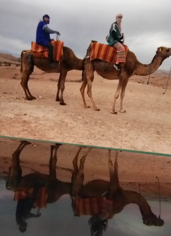 Marrakech Desert Trips-马拉喀什必去景点