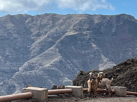 Ipalan Hiking Guided Tour-阿拉赫罗必去景点