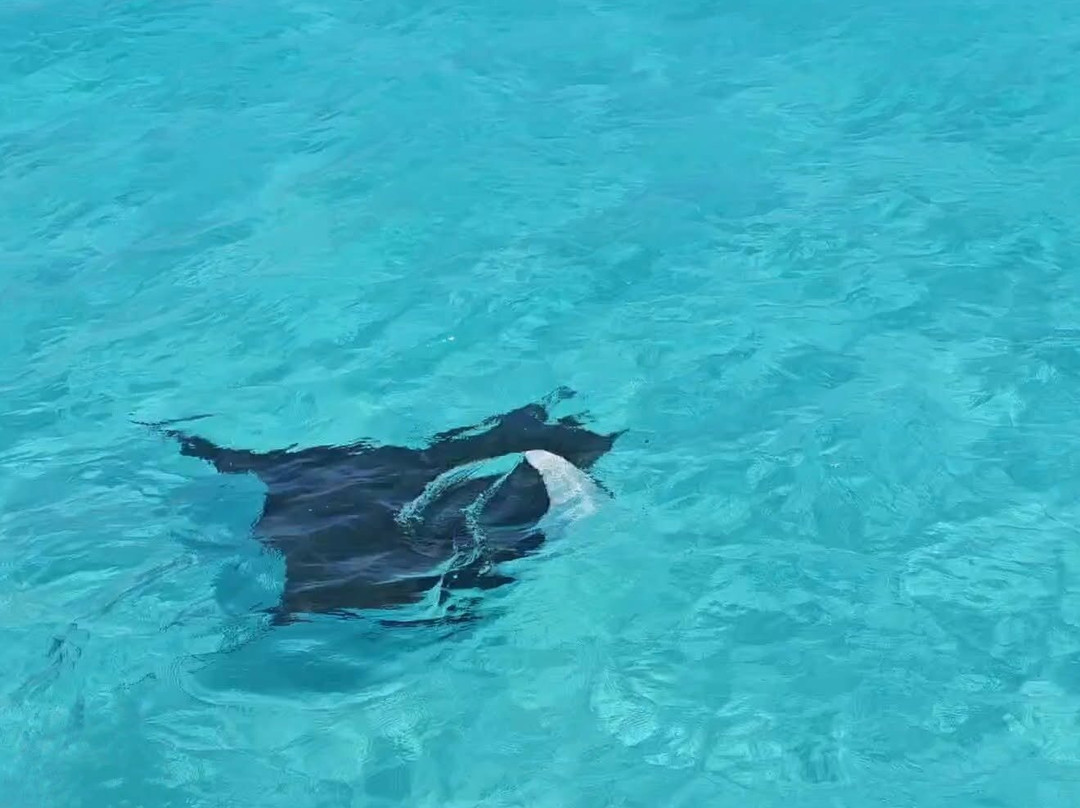 Exuma Water Sports 007-大埃克苏马必去景点