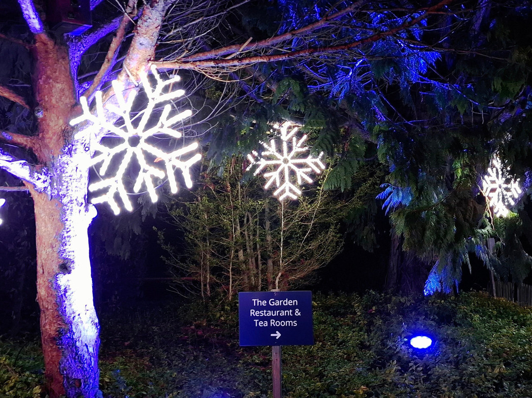 Light Up Trails-罗姆西必去景点