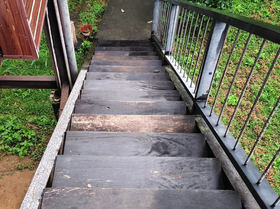 尼斯广场酒店主图