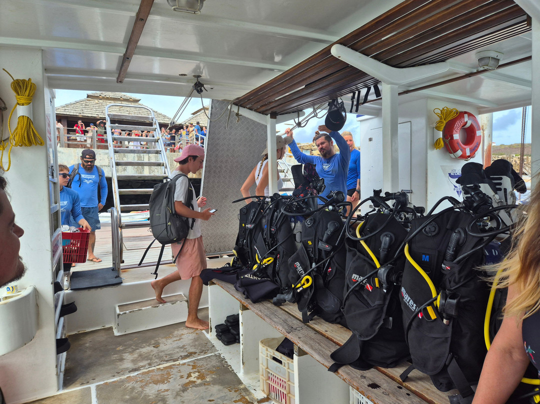 Atlantis Divers-费尔南多-迪诺罗尼亚群岛必去景点