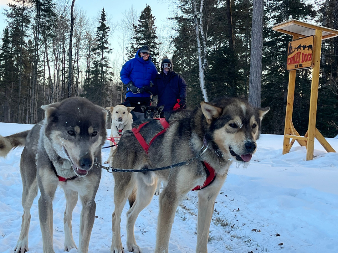 Chilly Dogs Sled Dog Trips-伊利必去景点