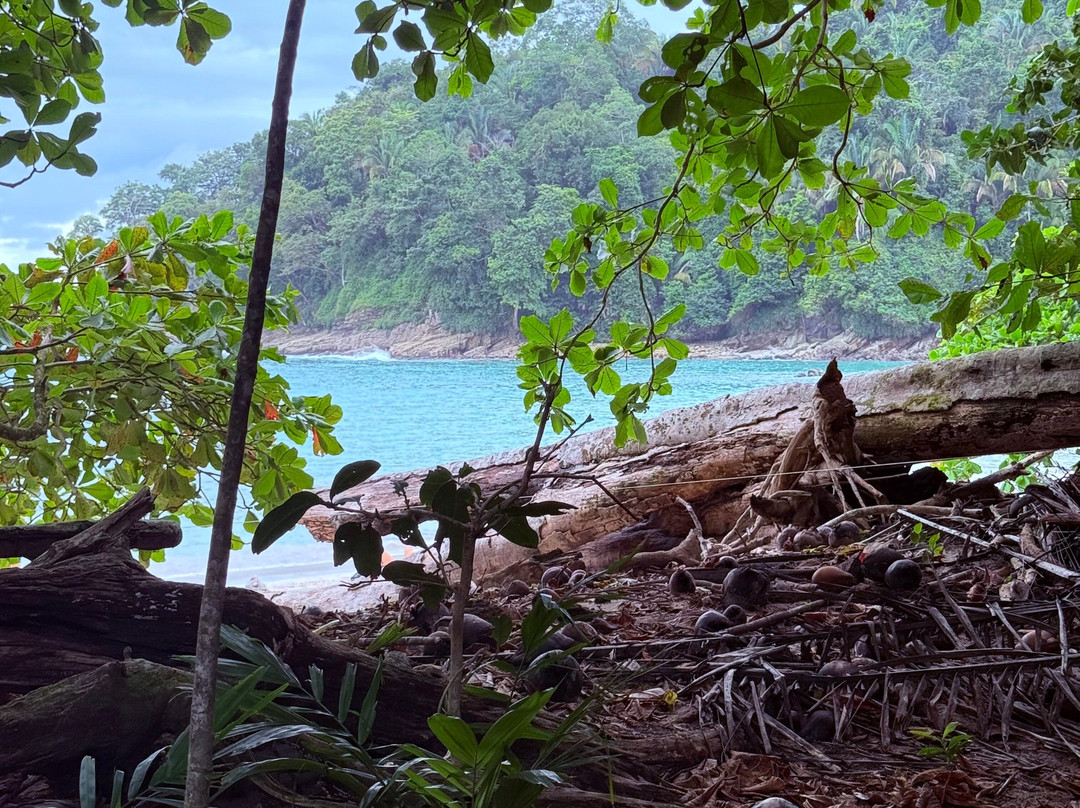 Goolonukos-塔马林多必去景点