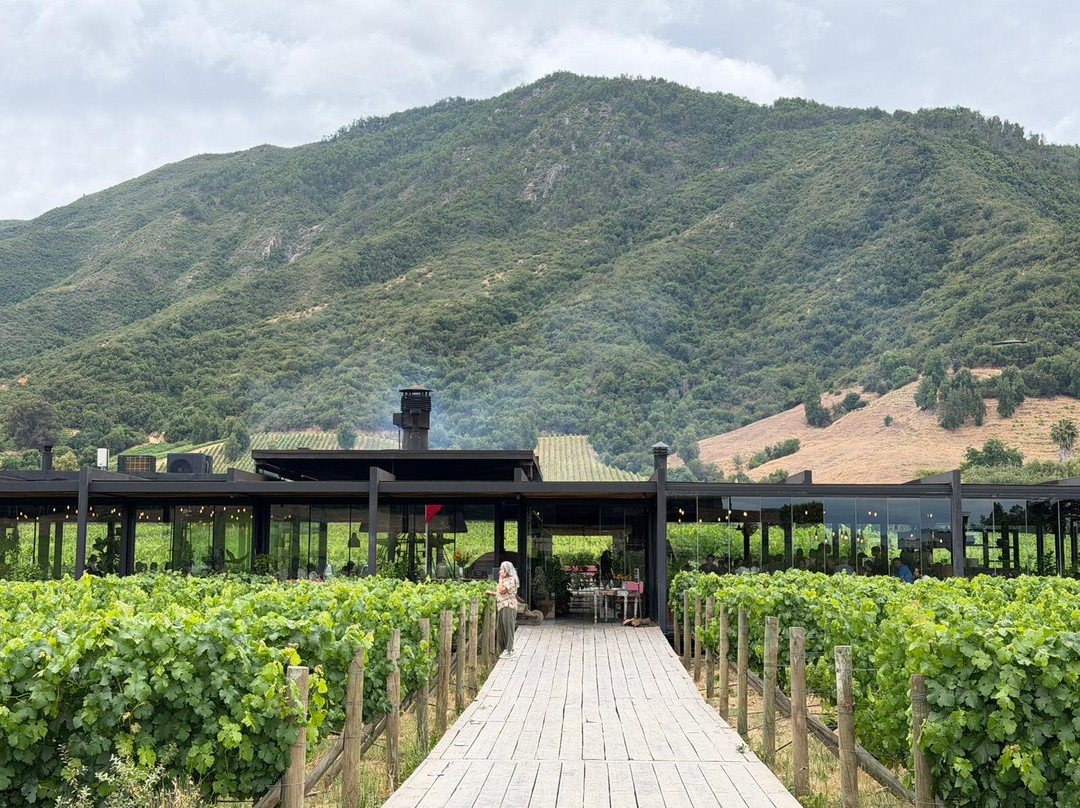 Colchagua Wine Tours-圣克鲁斯必去景点