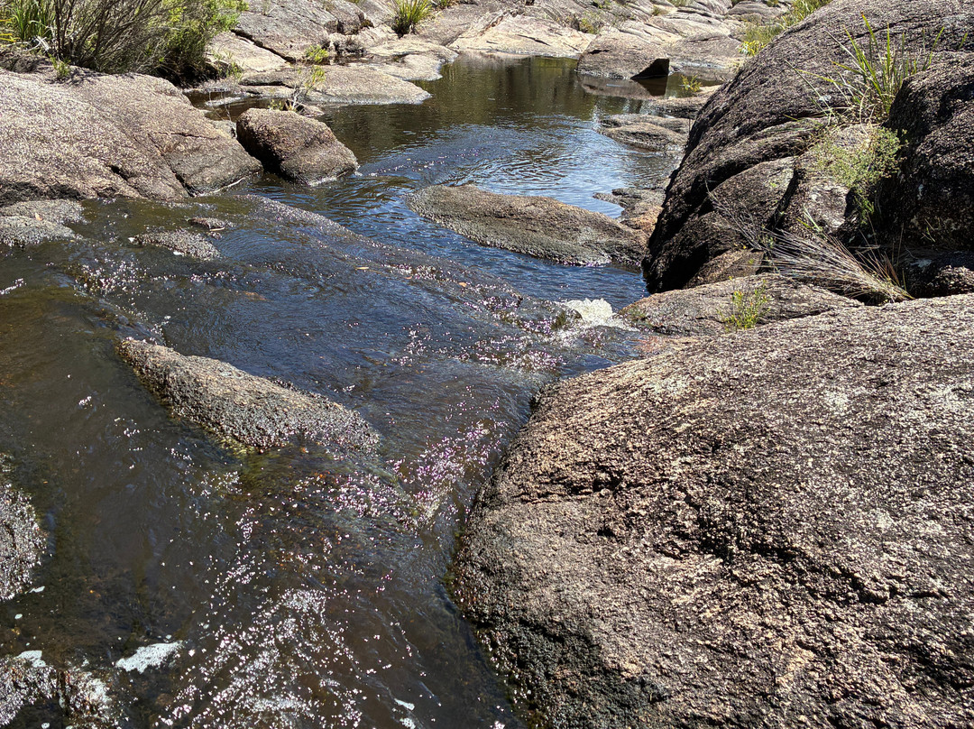 Boonoo Boonoo National Park-坦特菲尔德必去景点