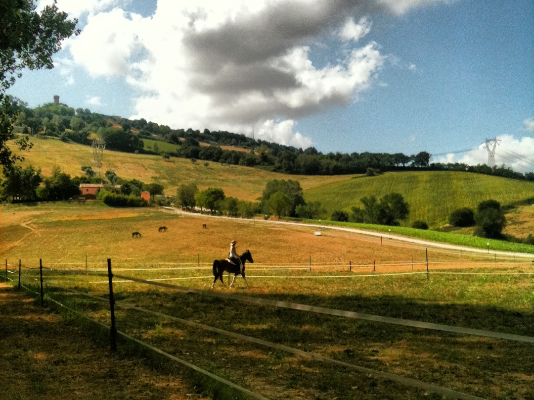 Agriturismo Casale il Gallo Bianco