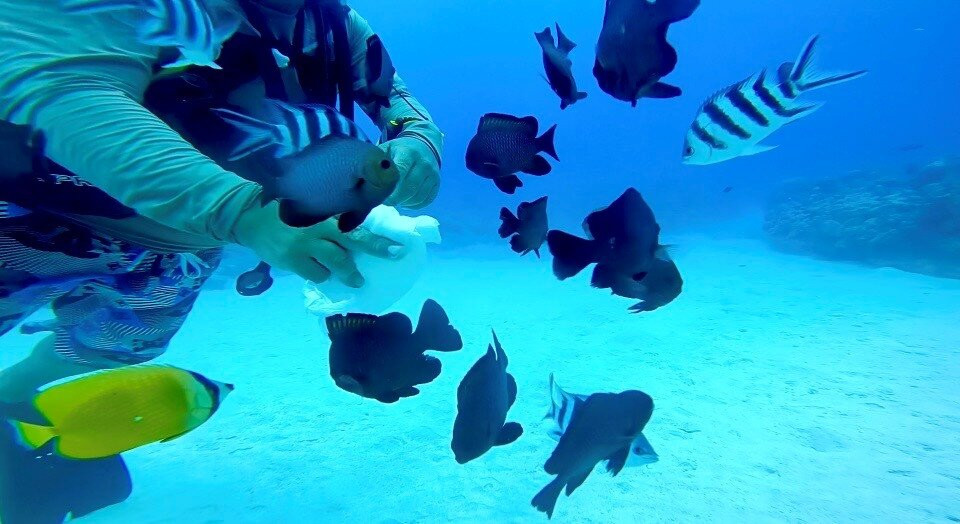 Bubble Diving Center-卓欧毕雪必去景点