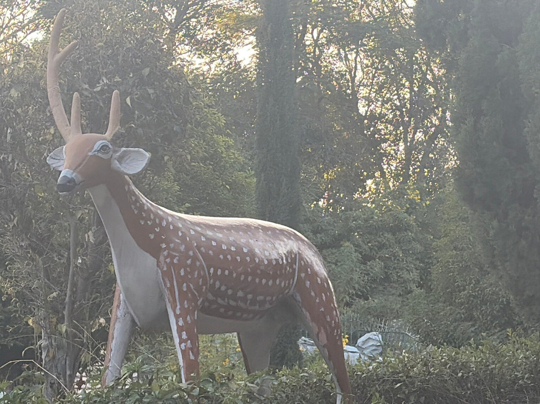 Rajiv Gandhi Park-乌代布尔必去景点