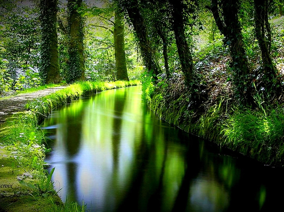 Foret de Huelgoat-Huelgoat必去景点