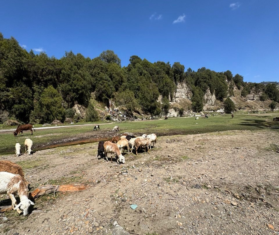 Wenchi Crater Lake & Hiking-Ambo必去景点