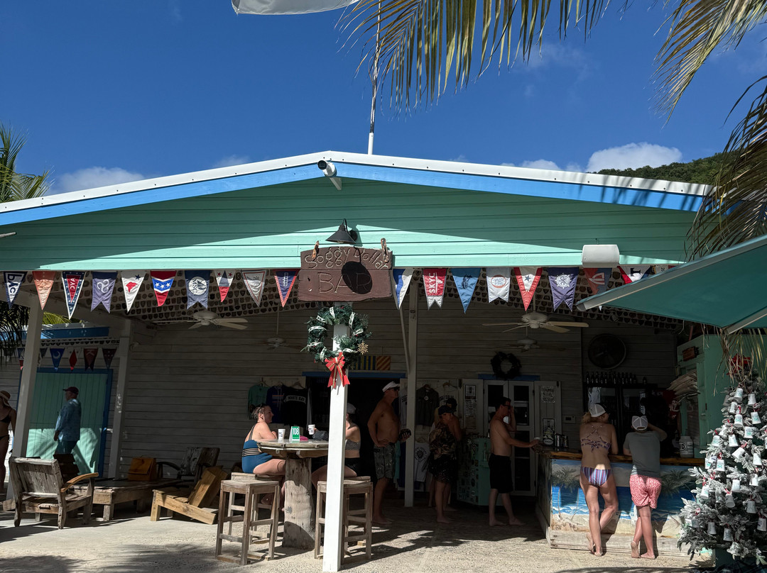 Bad Kitty & Calypso Charters-克鲁兹湾必去景点